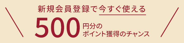 新規会員登録で今すぐ使える500ポイントプレゼント