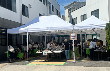 ビューフォート ファミリーセール