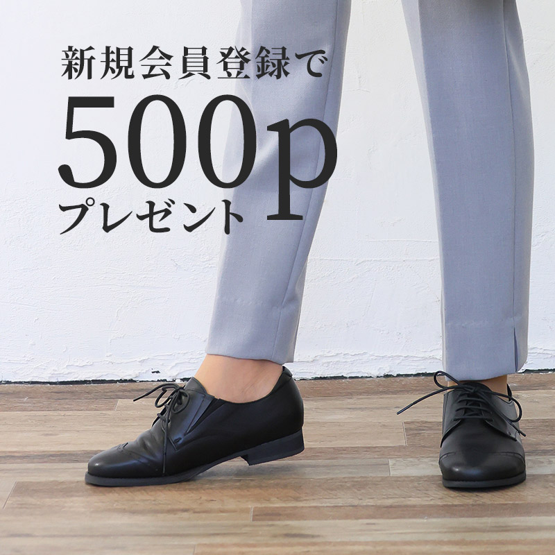 会員登録で500pプレゼント